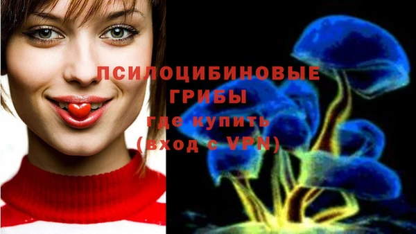 а пвп мука Алзамай