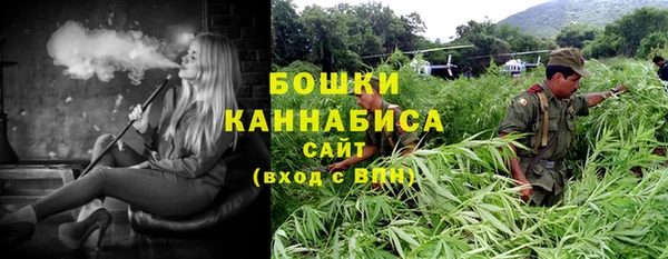 тгк Пересвет