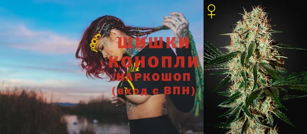 молекула духа Осинники