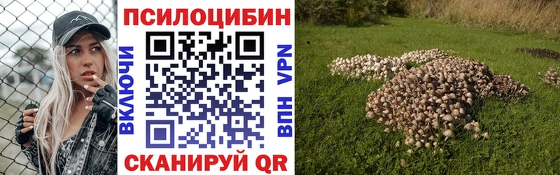 kraken зеркало  Ардон  Галлюциногенные грибы мухоморы  закладка 